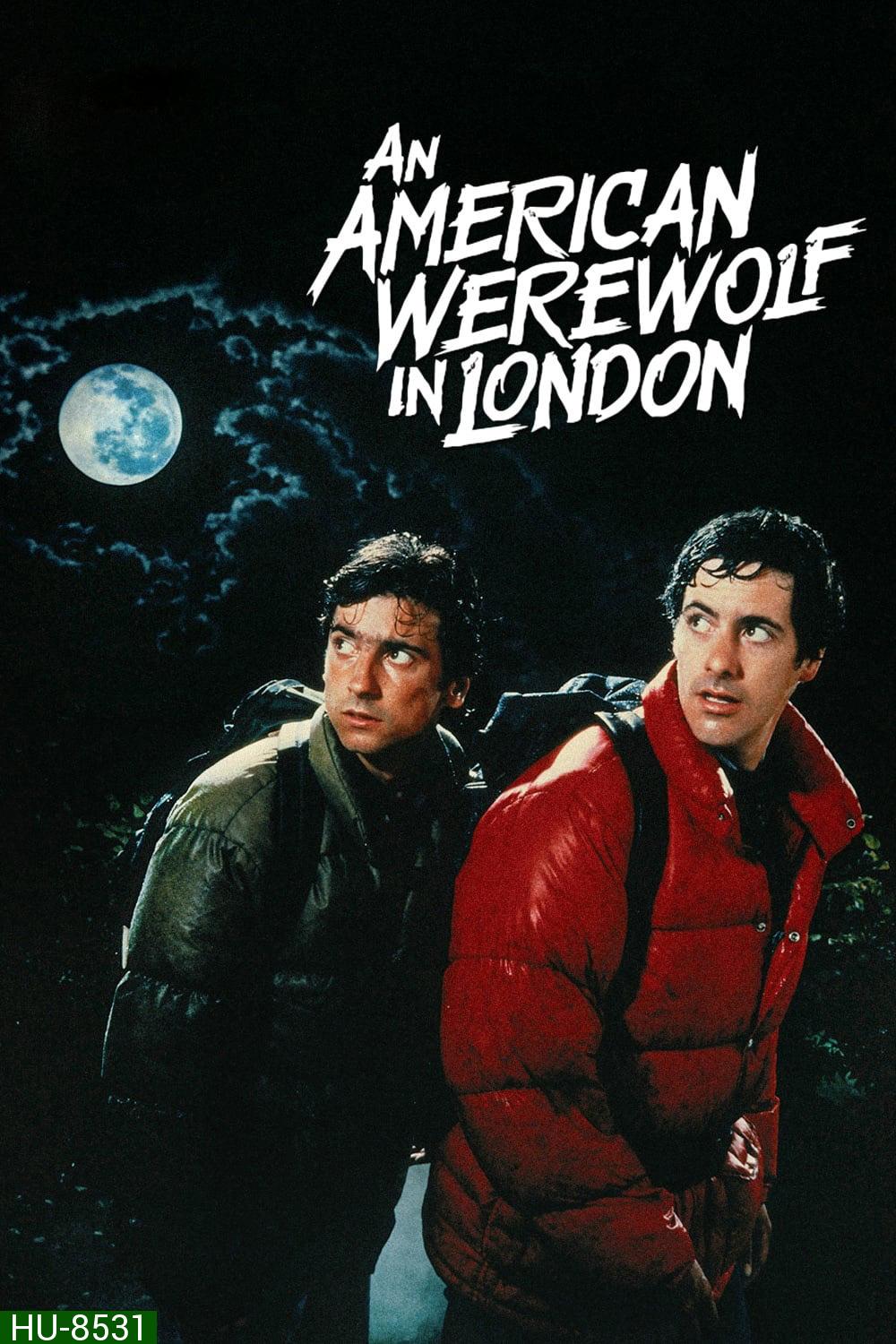 คนหอนคืนโหด An American Werewolf in London (1981)