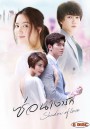 ซ่อนเงารัก  Shadow Of Love  ( ตอนที่ 1-17 จบ )