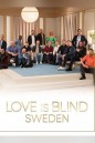 Love Is Blind Sweden (2024) วิวาห์แปลกหน้า สวีเดน