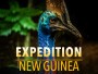 Expedition New Guinea สำรวจป่านิวกินี (2021) 3 ตอน