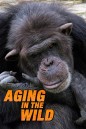 Aging in the Wild ช่วงชีวิตในป่าใหญ่ (2017) 5 ตอน