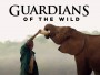 Guardian of the Wild ผู้พิทักษ์แห่งผืนป่า (2018) 4 ตอน